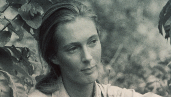 Jane Goodall, la grande primatologue
